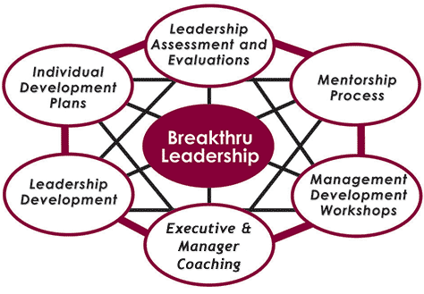 BreakThru Leadership.  Leadership Assessments and Evaluations.  Mentorship Process.  Management Development Workshops.  Executive Coaching.  Leadership Development Workshops.  Individual Development Plans.